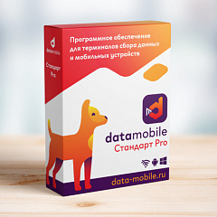 ПО DataMobile, версия Стандарт Pro в Дзержинске