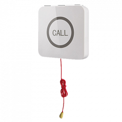 Кнопка вызова iBells 310S влагозащищенная со шнуром для МГН в Дзержинске